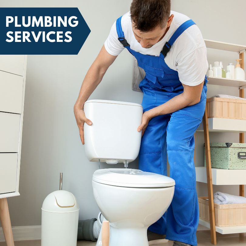 Plumbing Company in New Lothrop, MI